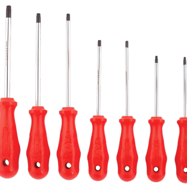 Delikli Torx® Uçlu Tornavida Takımı (7 Parça)
