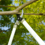 Worth Teleskopik Yüksek Dal Kesme 1213