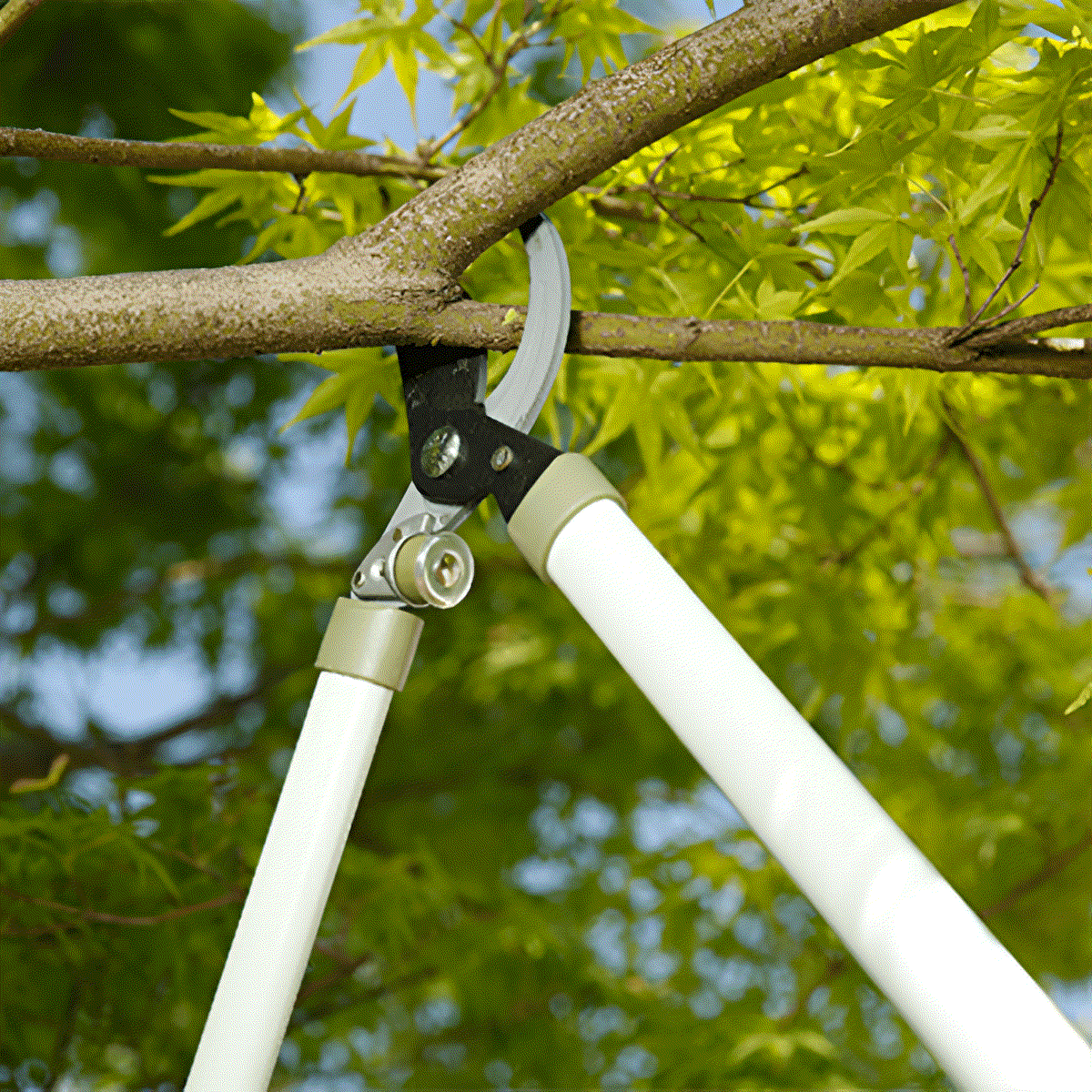 worth-teleskopik-yuksek-dal-kesme-p-png.png Worth Teleskopik Yüksek Dal Kesme 1213 - Görsel 1