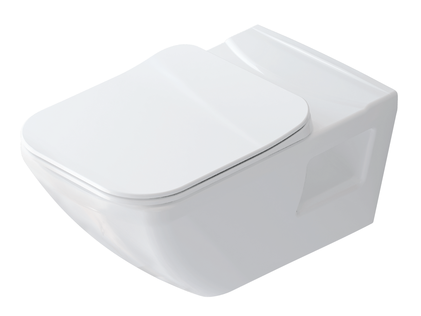 idevit-bedensel-engelli-asma-klozet-png-3.png İdevit Bedensel Engelli Asma Klozet - Görsel 1